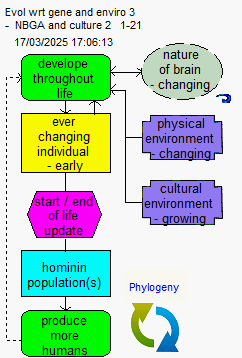 Evol wrt gene and enviro 3 - NBGA and culture 2