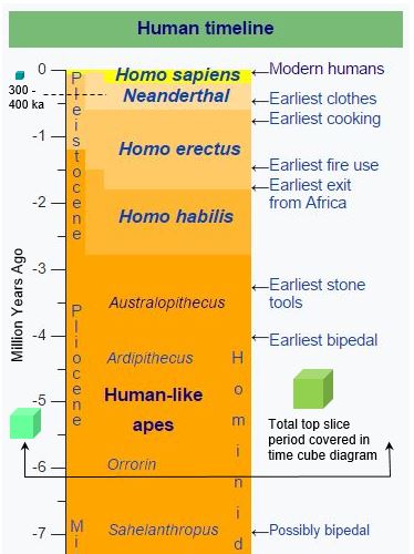 human-bit