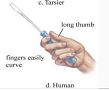 hum hand