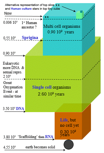 time-cube