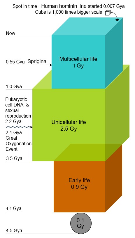 time-cube
