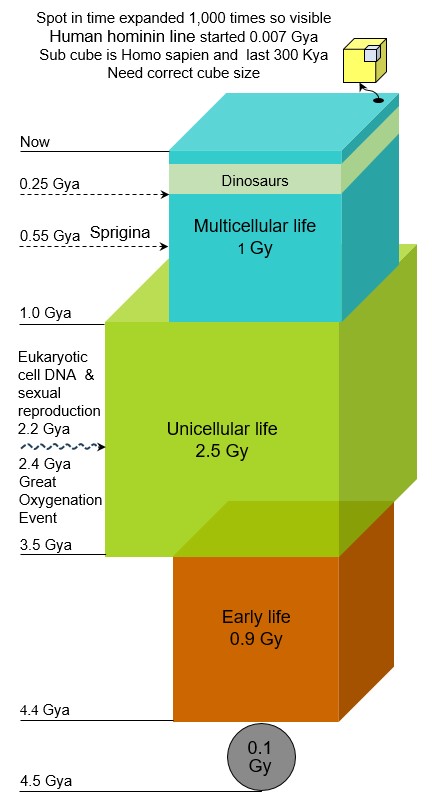 time cube