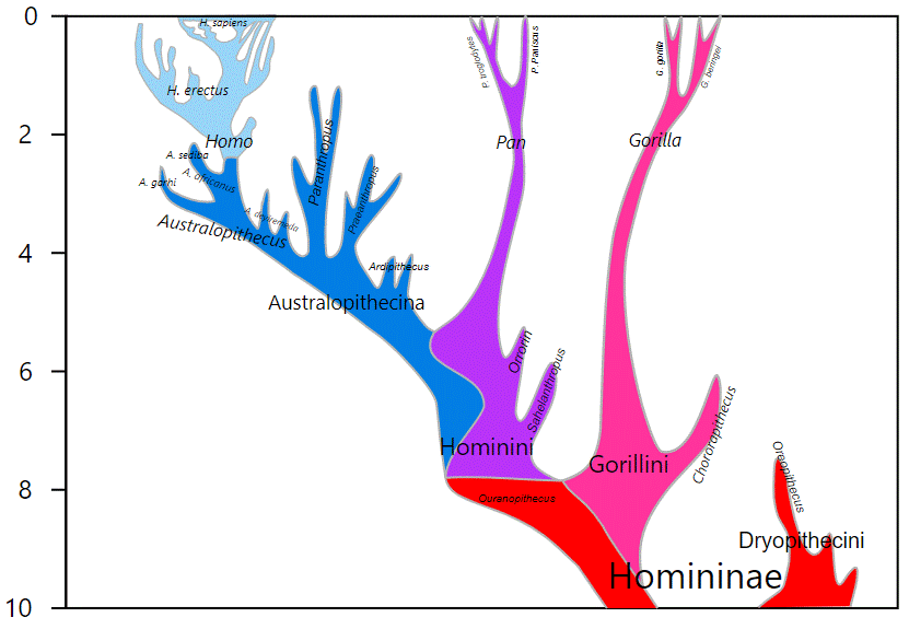 hominini-wiki