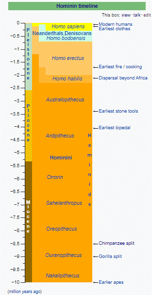 time-line-wiki